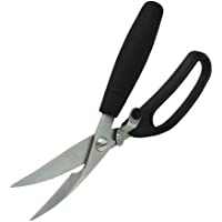 Master Class KCSHEARPRO - Tijeras para Ave (24 cm)